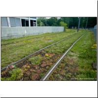 2012-07-04 23 Leopoldstrasse Ausfahrt (1).jpg